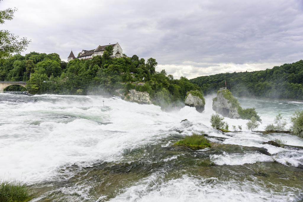Hotel Rheingold ไกลิงเงน ภายนอก รูปภาพ